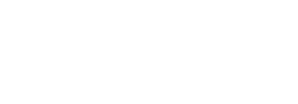 Emphasis_Logo_White